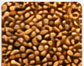 Oil seeds