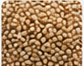 Pulses processing grains